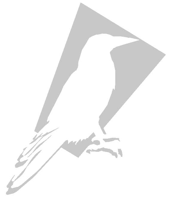Avian Technologies